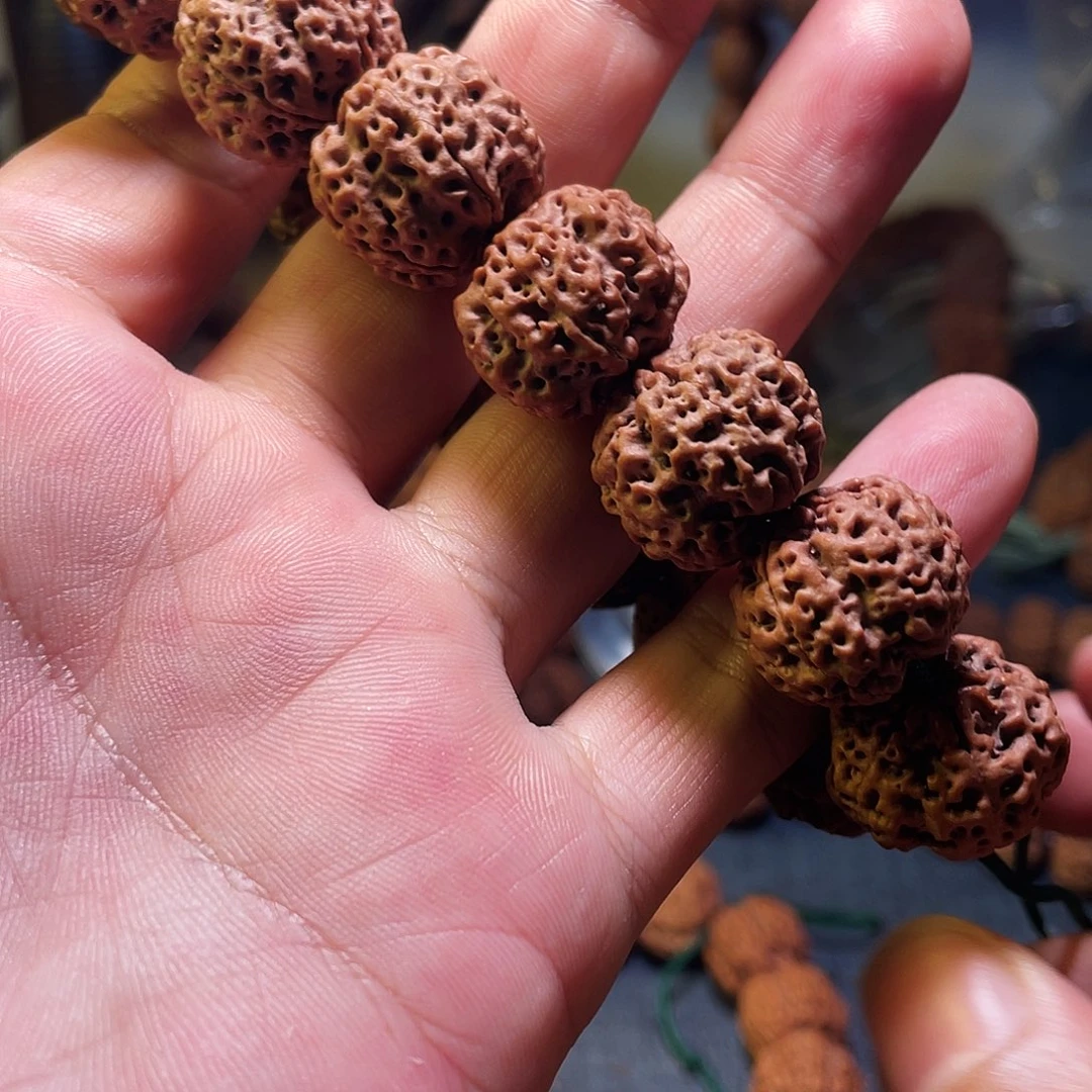 吊坠金刚菩提尼泊尔大金刚菩提