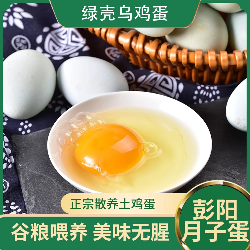 宁夏彭阳正宗山林散养乌鸡鸡蛋新鲜健康适合孕妇月子食用（初生蛋）