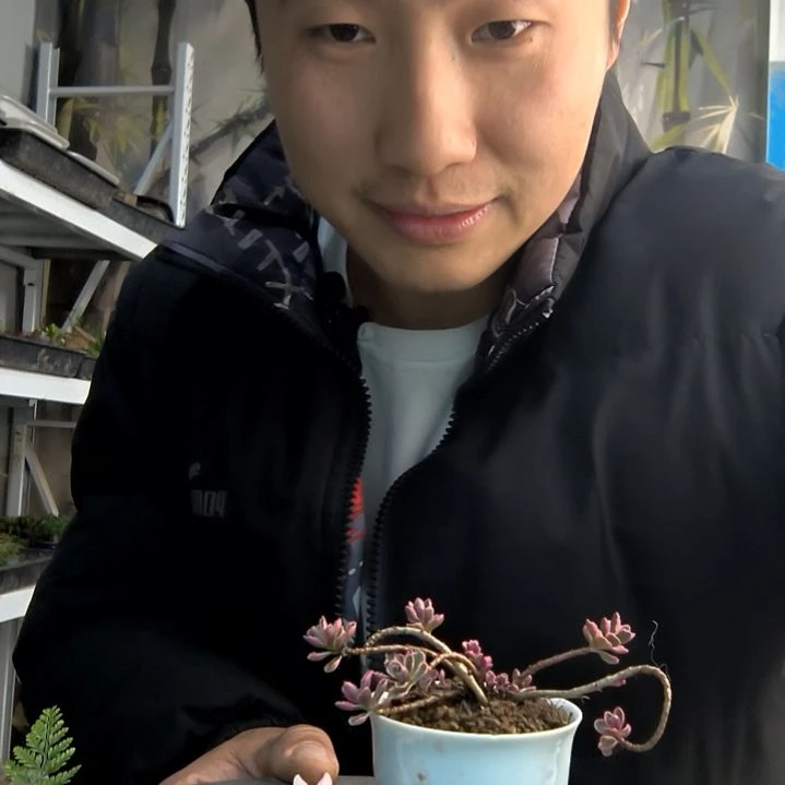 秋*?小盆景小植物一物一拍125