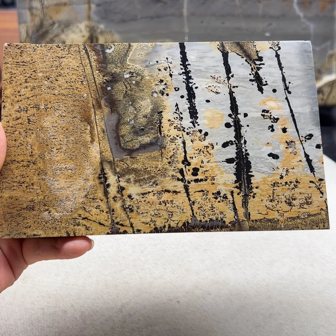 广西石广西天然国画石