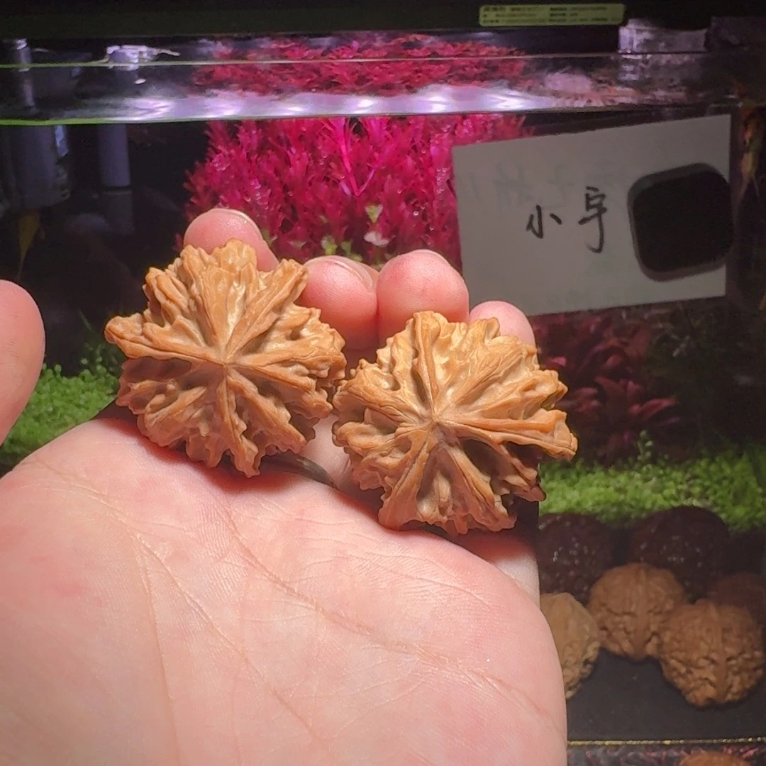 核桃把件07号37岐山三棱文玩核桃