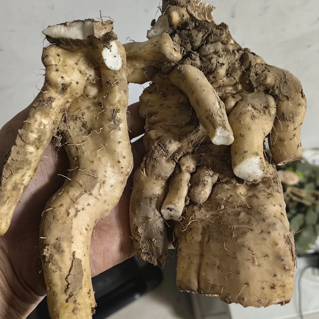 山药（细果、小果、断果）煲汤味道鲜美