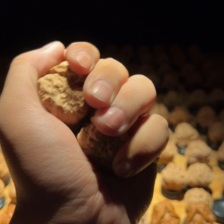 钰***华吊坠文玩核桃111111