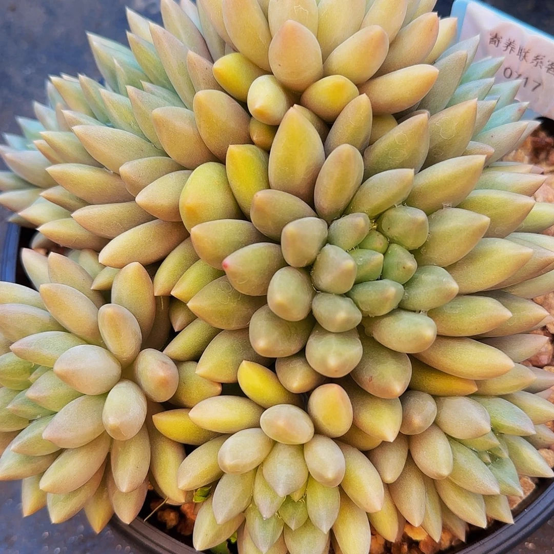 用***k呃呃呃呃哦哦哦哦哦哦哦哦哦哦哦哦啊