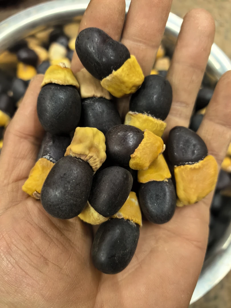 云南大山野生马牙果