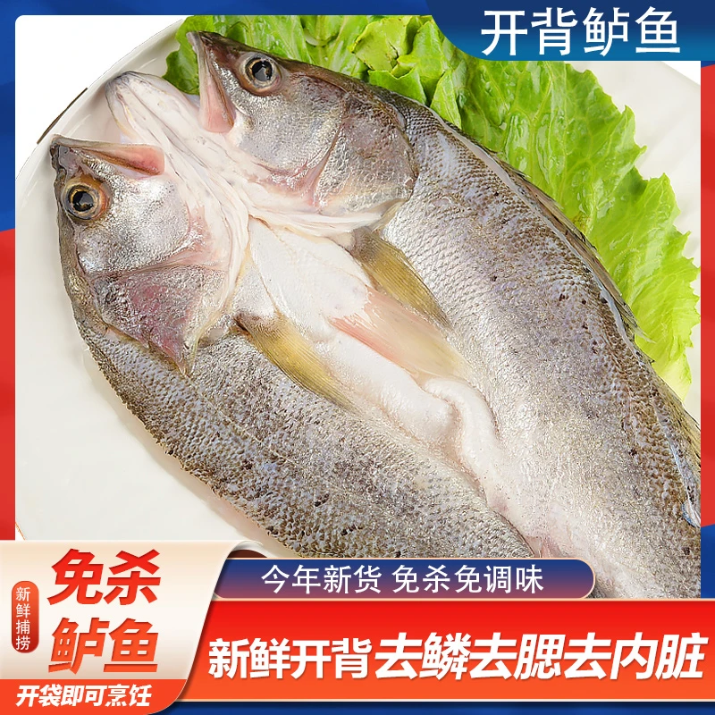 海鲈鱼 新鲜活杀四条去鳞去鳃去内脏开背海鲈鱼400-500g*4条