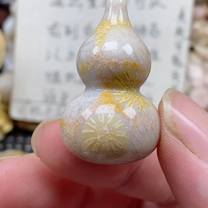 颈饰未镶嵌硅化珊瑚（珊瑚玉）没打孔