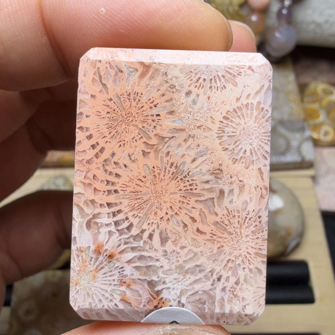 硅化玉未镶嵌纯天然色有机玉石保真色