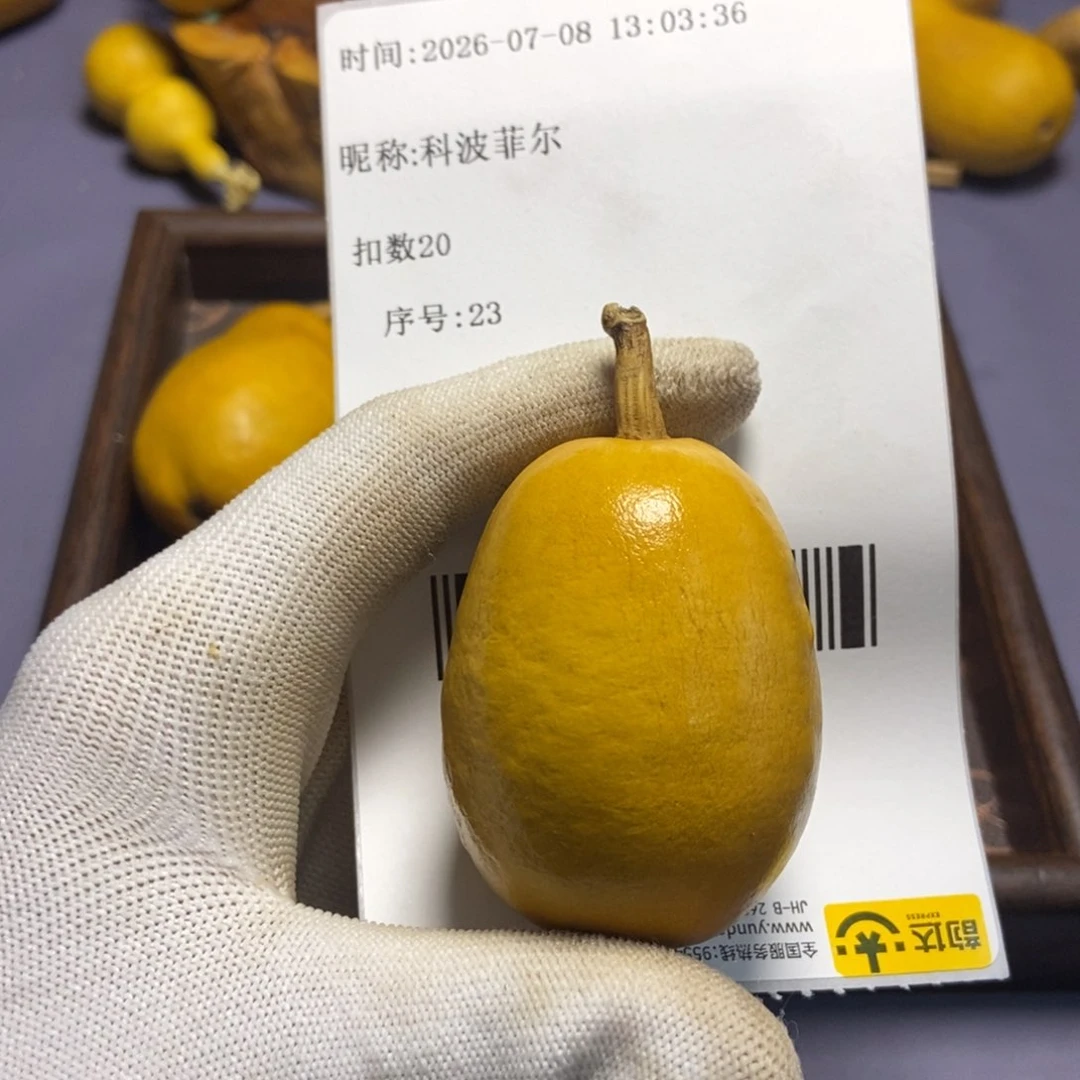科**尔哈哈哈哈哈哈哈哈
