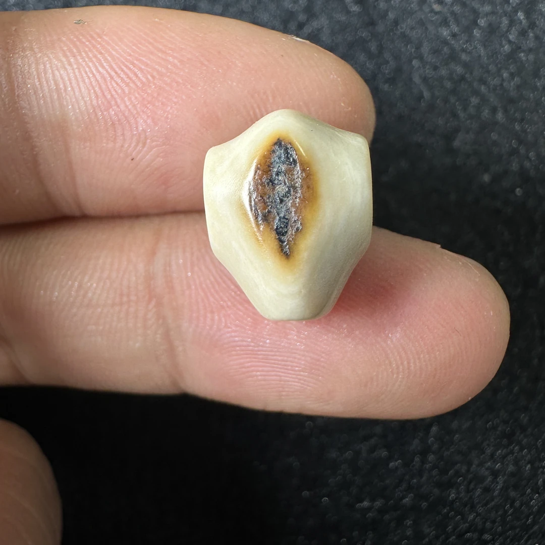 F141猛犸象牙对孔10.6*10.2mm鲨鱼背三通冰料果冻料