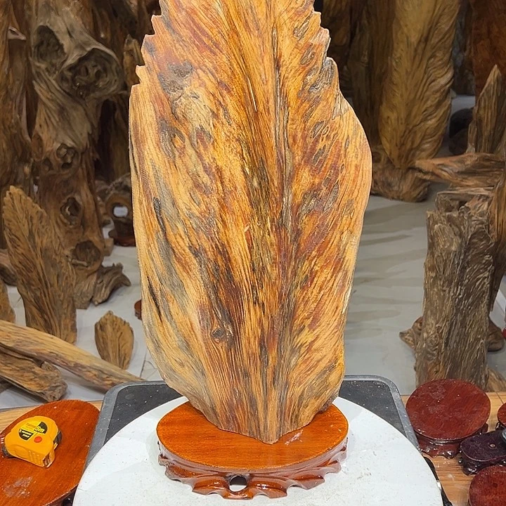 松木（琥珀木）用****7