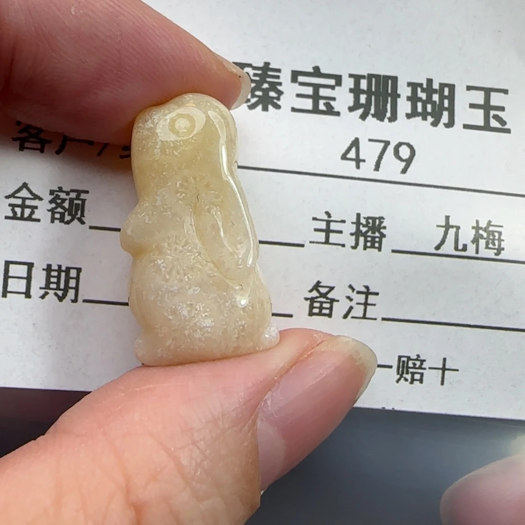 硅化珊瑚（珊瑚玉）未镶嵌吊坠(不含链)