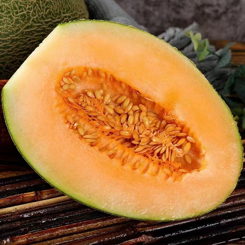 新疆哈密瓜-上古西域的皇室贡品