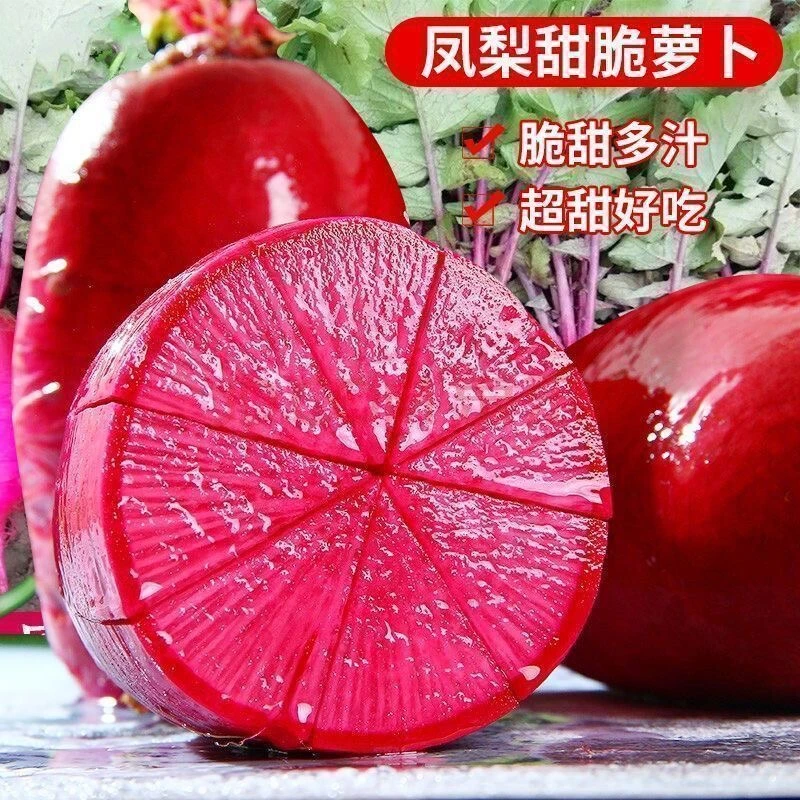 【凤梨水果萝卜】凤梨萝卜阳台菜园庭院可萝卜种子
