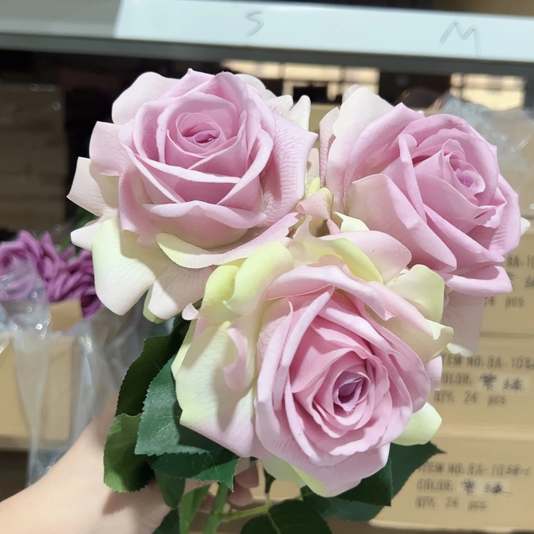 3枝手感保湿紫绿色卡尔玫瑰