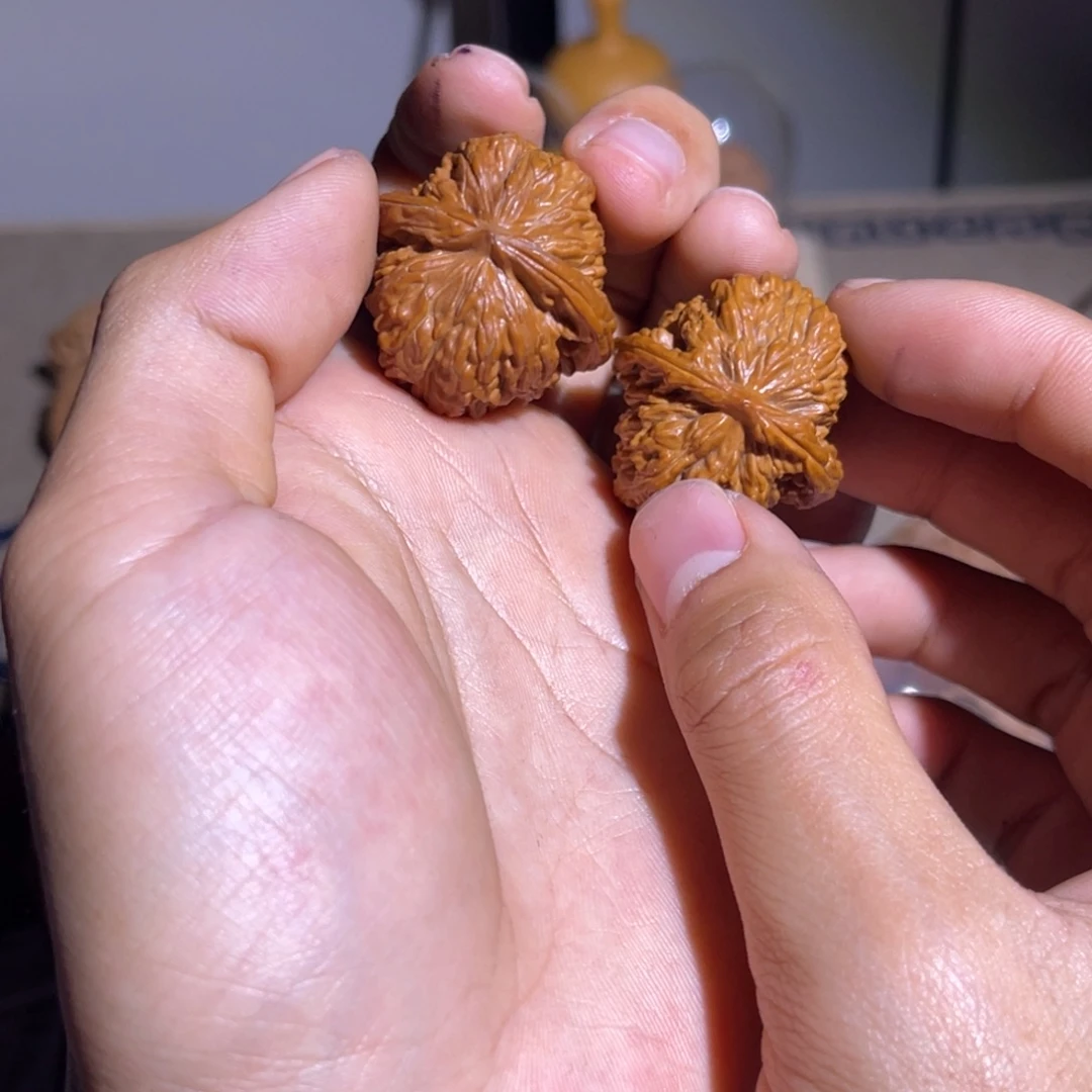 Z****哈哈哈哈哈哈哈哈哈哈