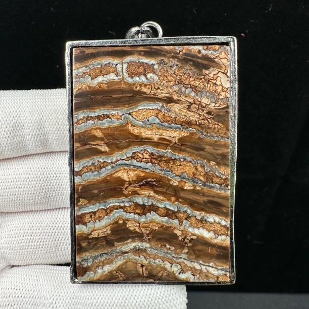 N1335天然猛犸牙臼齿461无事牌40*60*10克支持鉴定 假一罚四