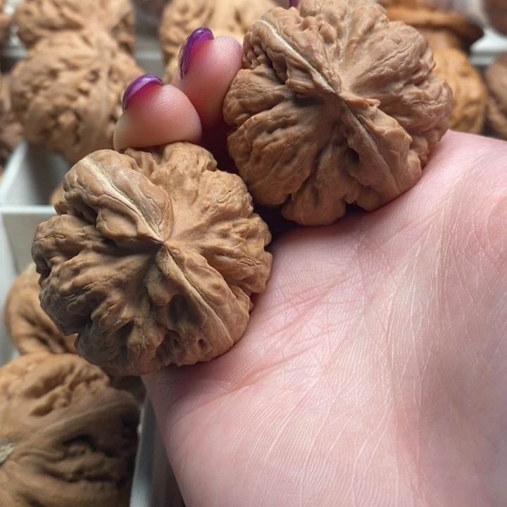 龙***哥文玩核桃吊坠霸王龙