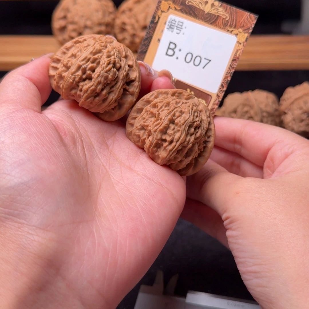 核桃b007白狮子4.2