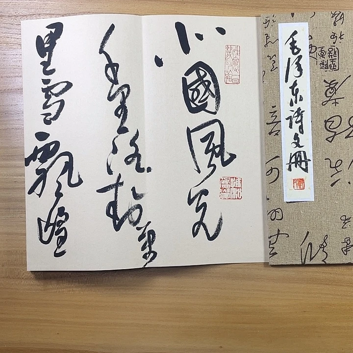书法中书协会员作品