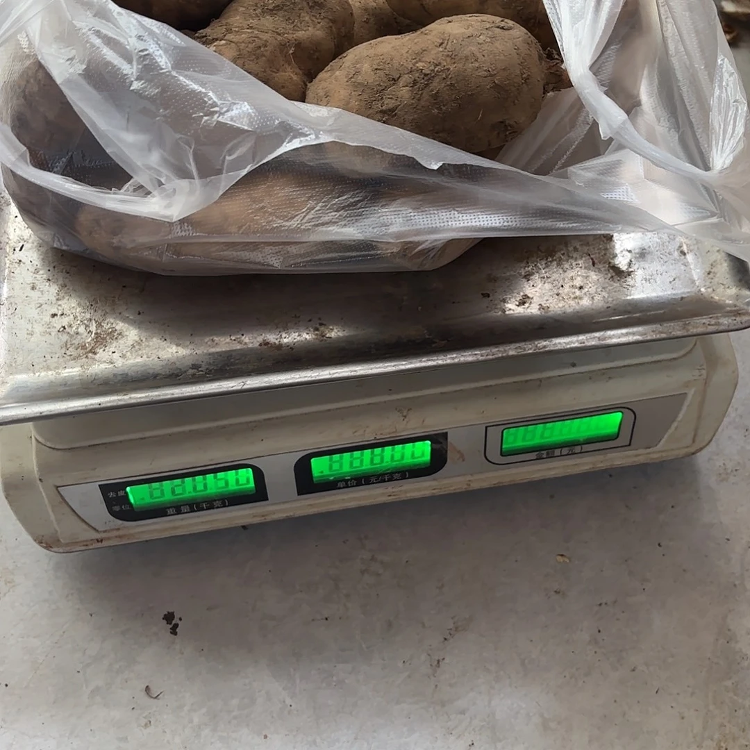 番****云南小表妹野生菌代购中国大陆