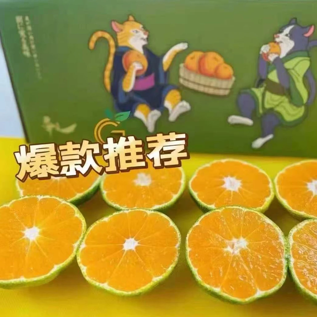 【果真不错】寻之·高山小蜜橘 3.6斤/箱 味甜多汁