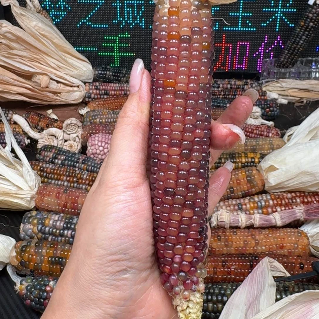 柏香籽/百香籽吊坠?***面