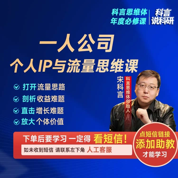 一人公司流量思维（3天直播课）