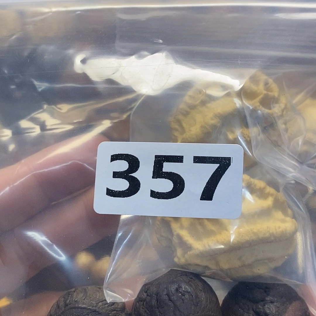 橄榄核吊坠土***虫