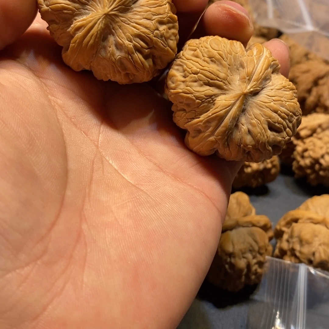 文玩核桃把件D*M元宝288