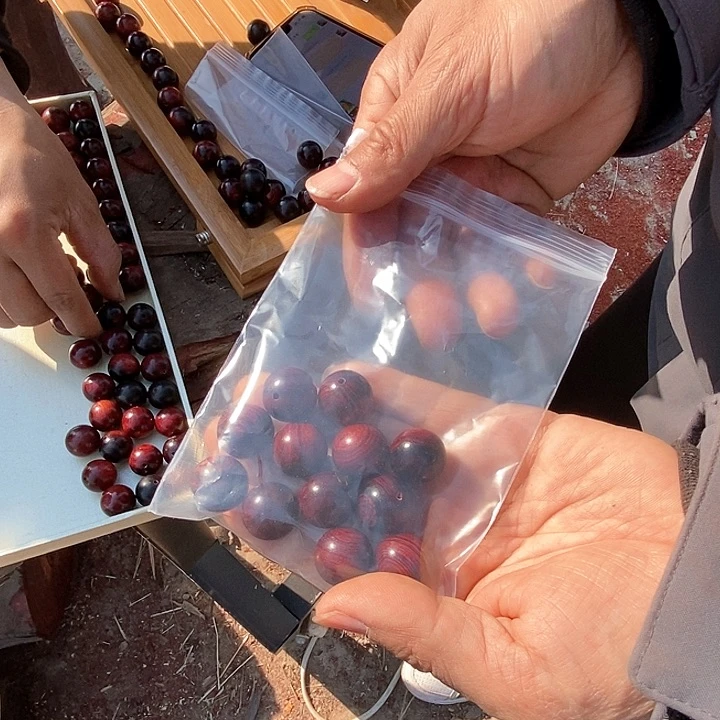 木用****9369 单圈单圈单圈单圈