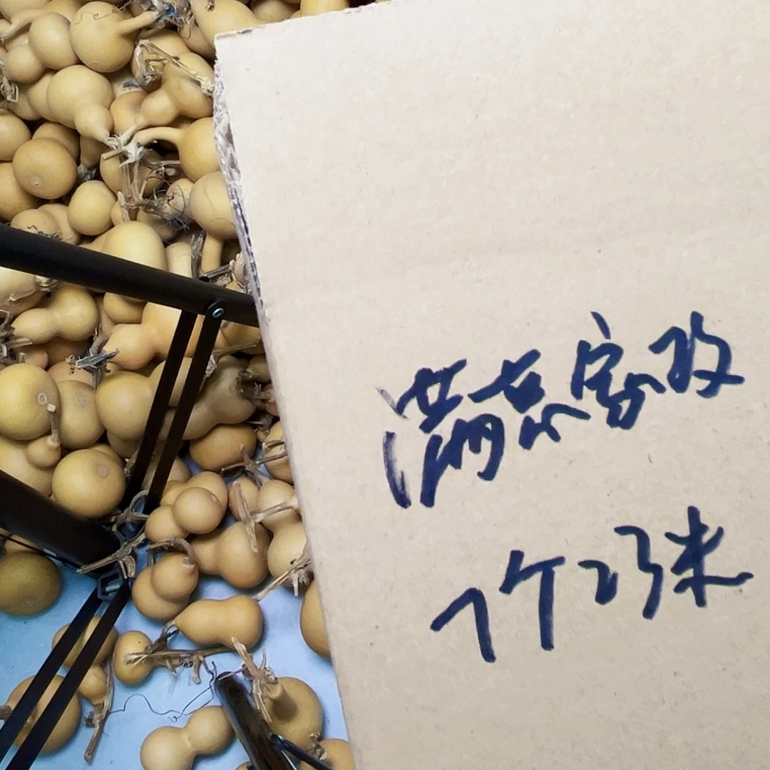 满***洁天然小美葫芦七个