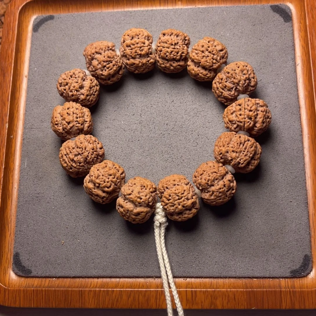 菩提10号金刚菩提满肉凹底梅花23.5/24