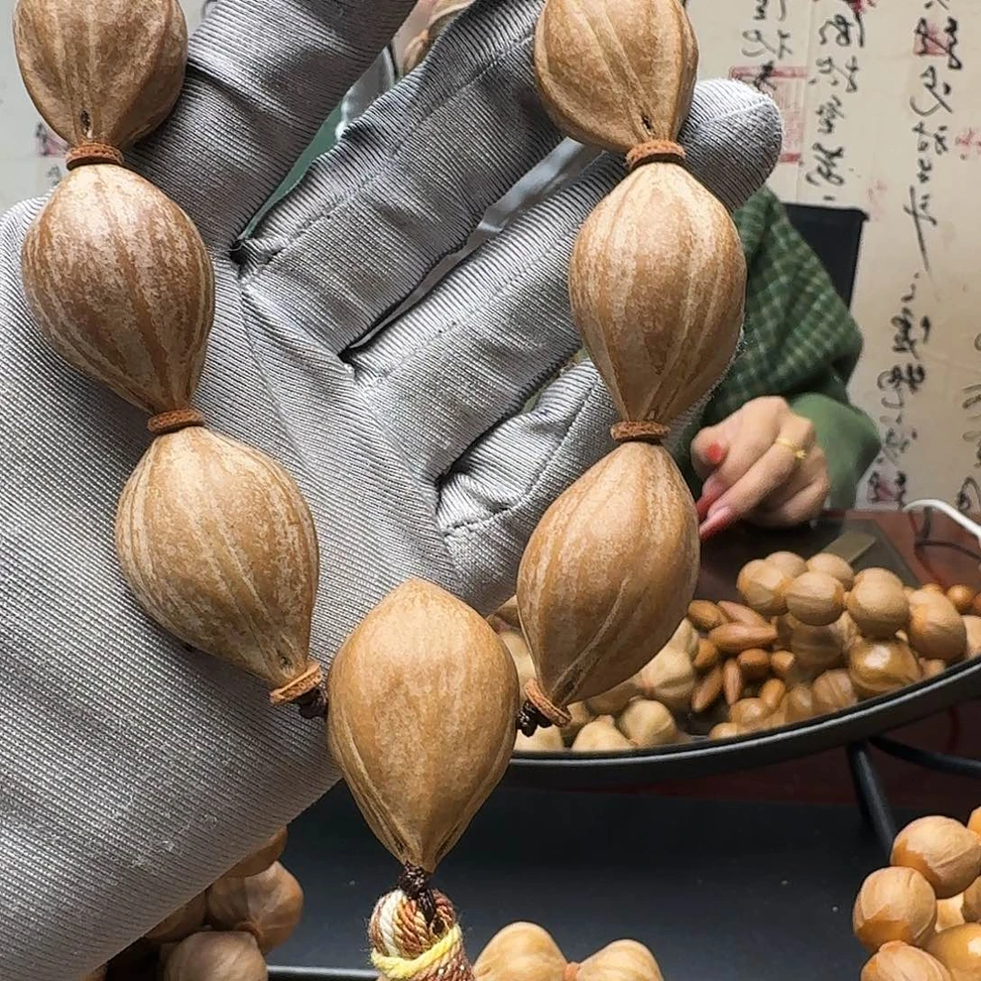 手串橄榄核鲨鱼背