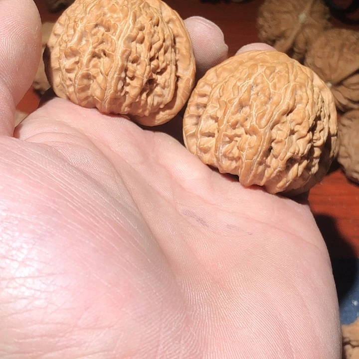 用***3吊坠文玩核桃吊坠文玩核桃竞拍白狮子01