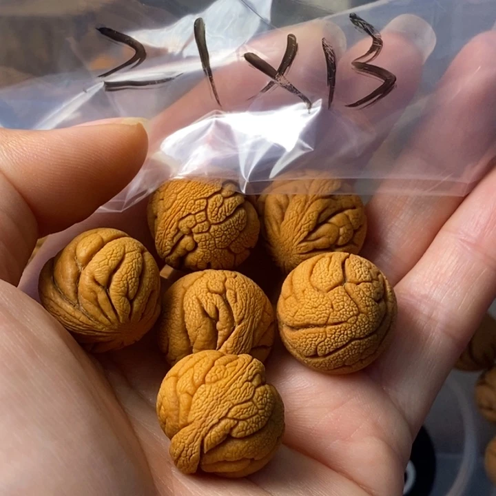 文玩核桃手串秦岭野生龙纹桃核21