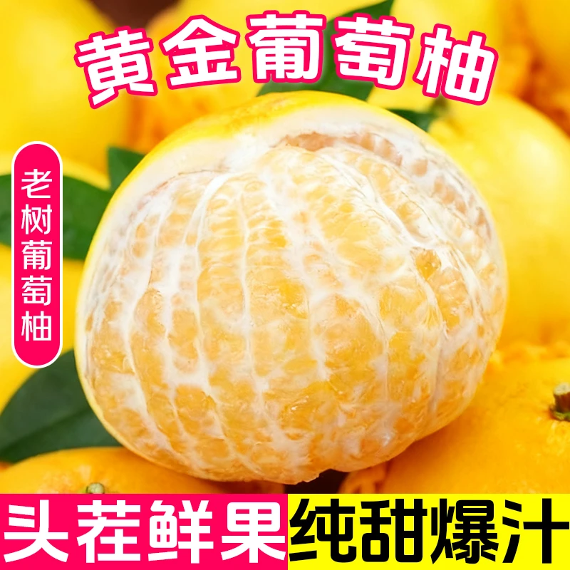 【产地直发】正宗福建黄金葡萄柚新鲜应季水果鲜甜多汁果园现摘现发