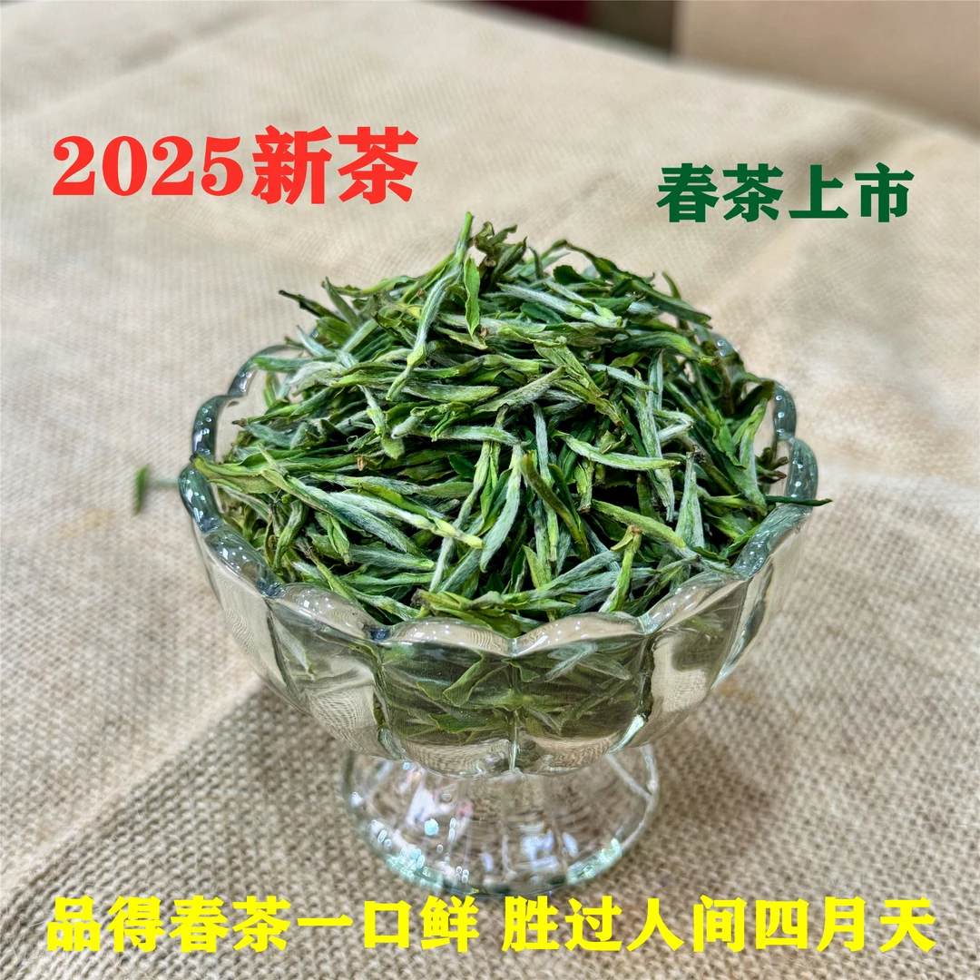 A52舒城小兰花2025新茶安徽早茶绿茶清香回甘
