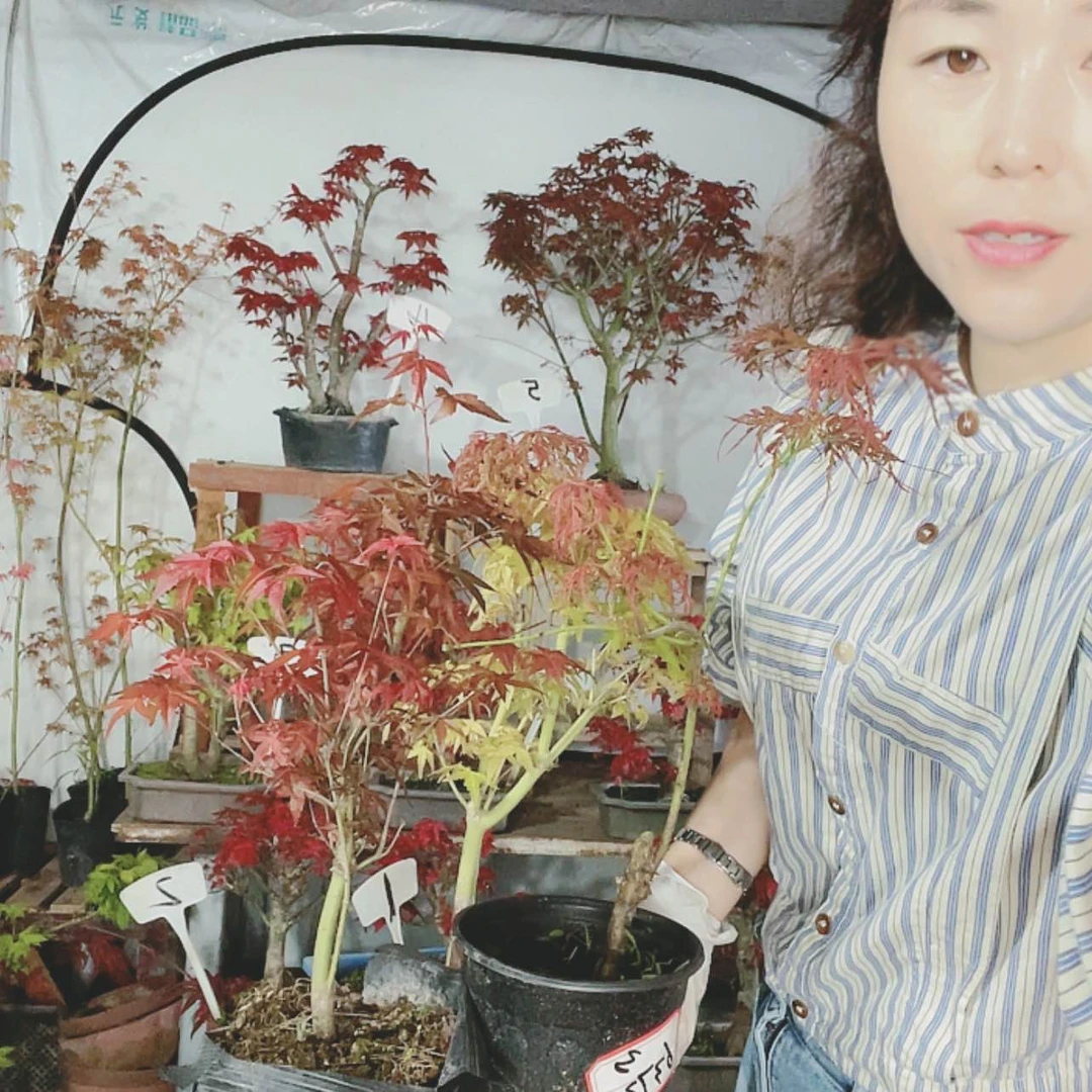 【闪购商品】完全开放专***峰