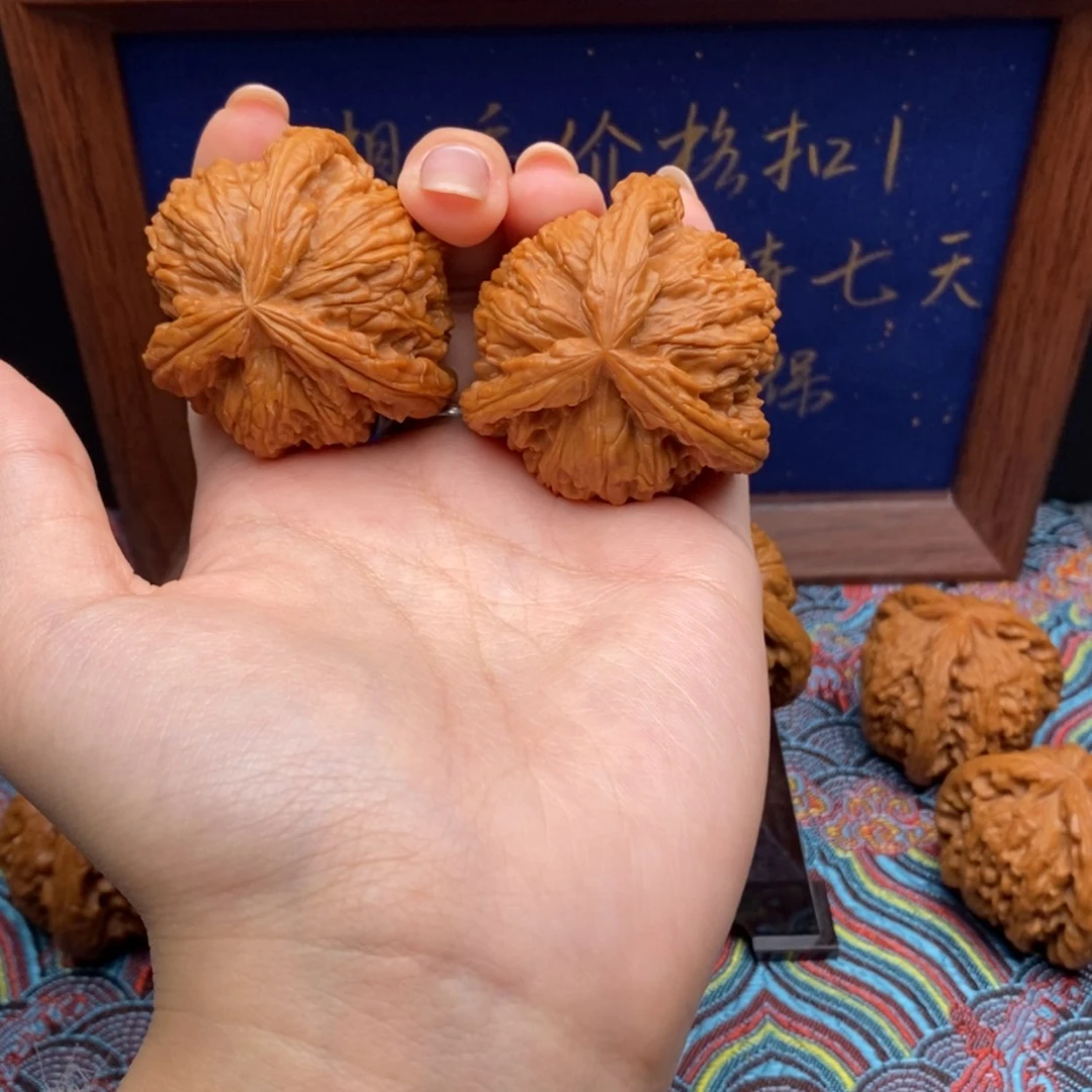 【闪购商品】赵*雄白狮