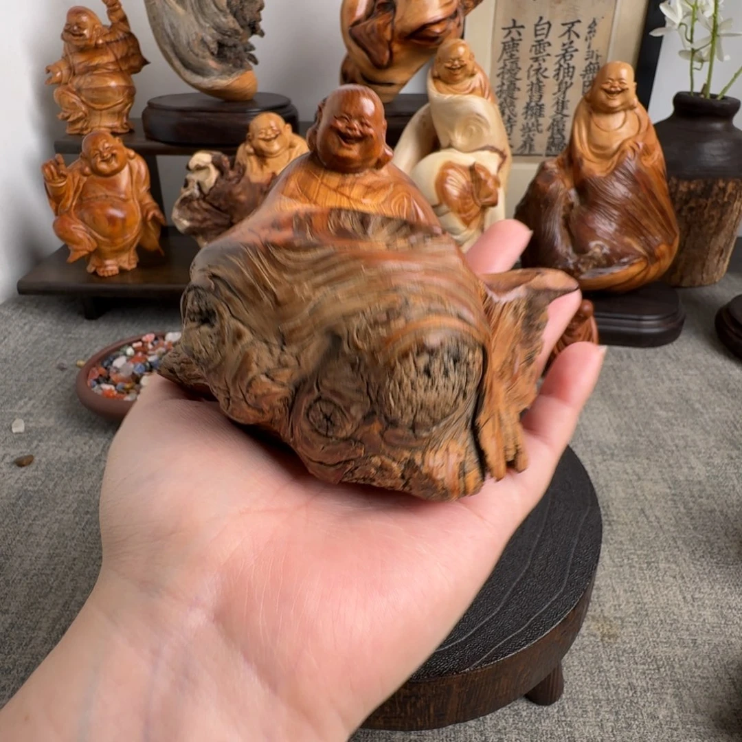 柏木（崖柏）关注一下
