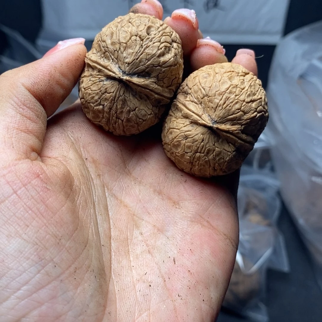 文玩核桃把件141号38mm