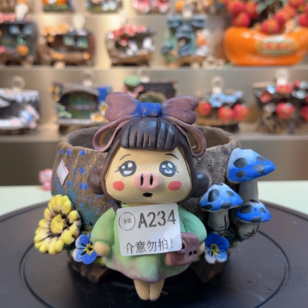 A234 【闪购】多肉花盆
