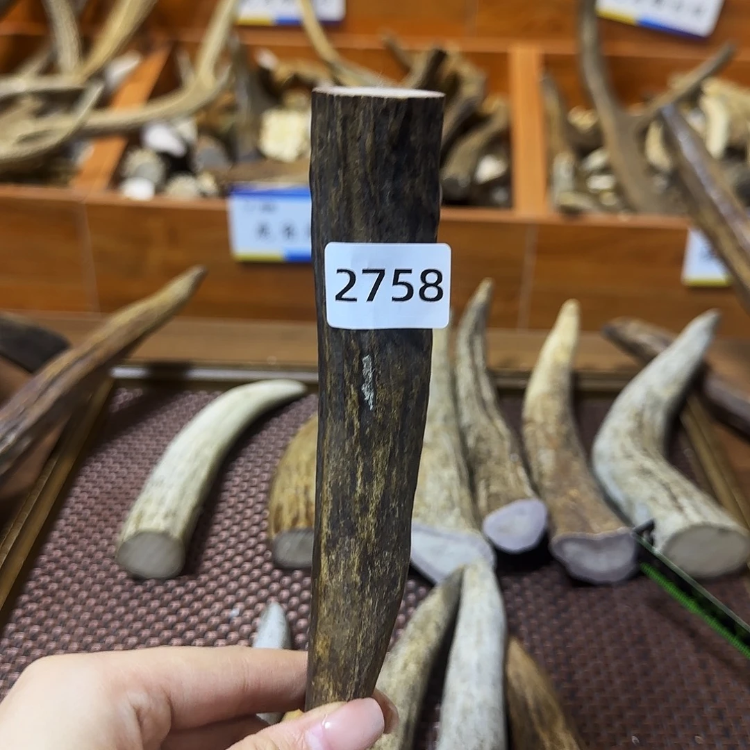 手串/手链鹿骨角尖2758