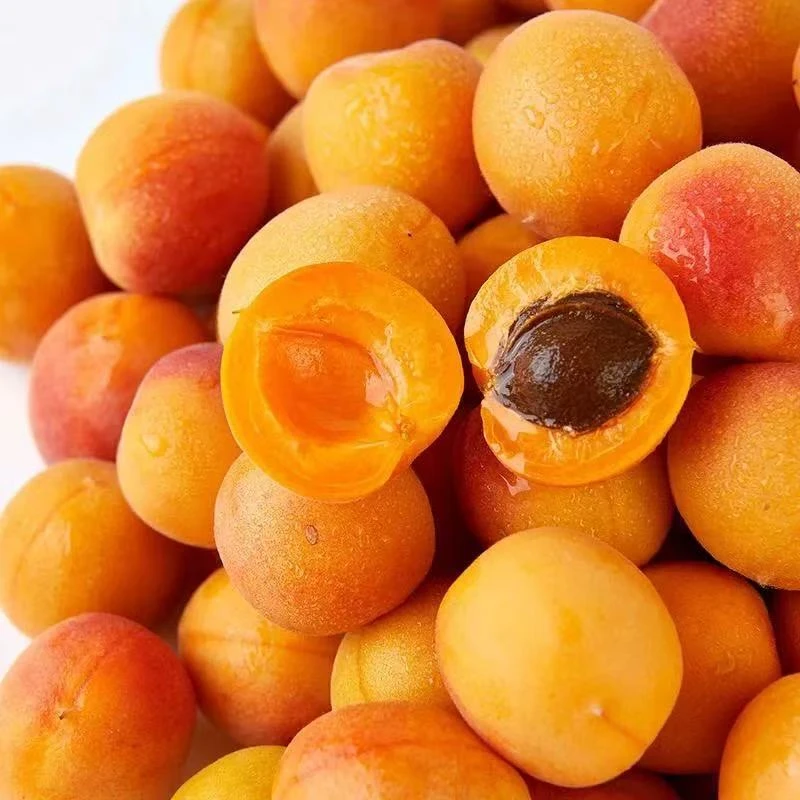 【次日达】【礼筐发货】吊干杏空运新疆鲜果3-3.5斤顺丰包邮 坏果包赔新疆维吾尔自治区