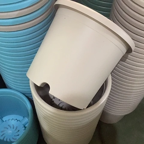 树脂四季4号微瑕灰白无托8个