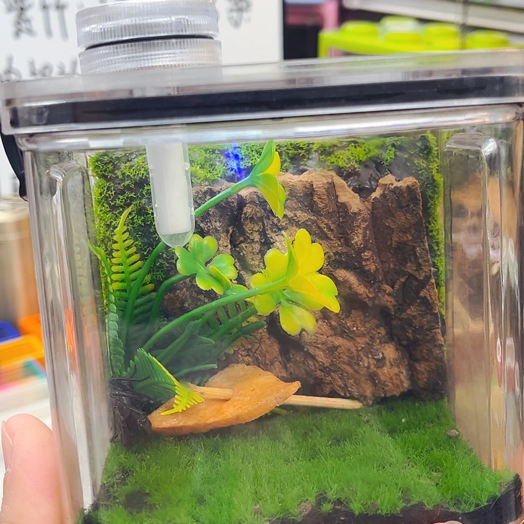生态箱送两个电报铃