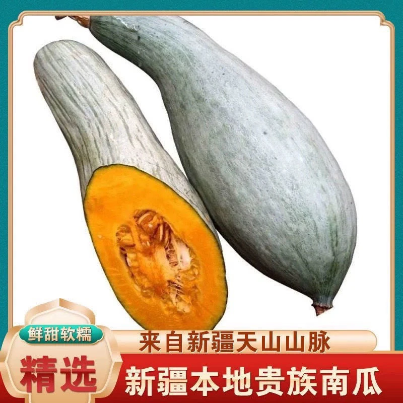 新疆直发贵族南瓜口感细腻板栗味香甜软糯