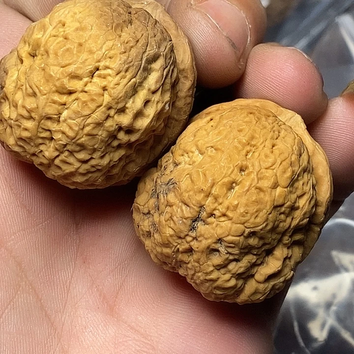 文玩核桃把件云南铁核桃158