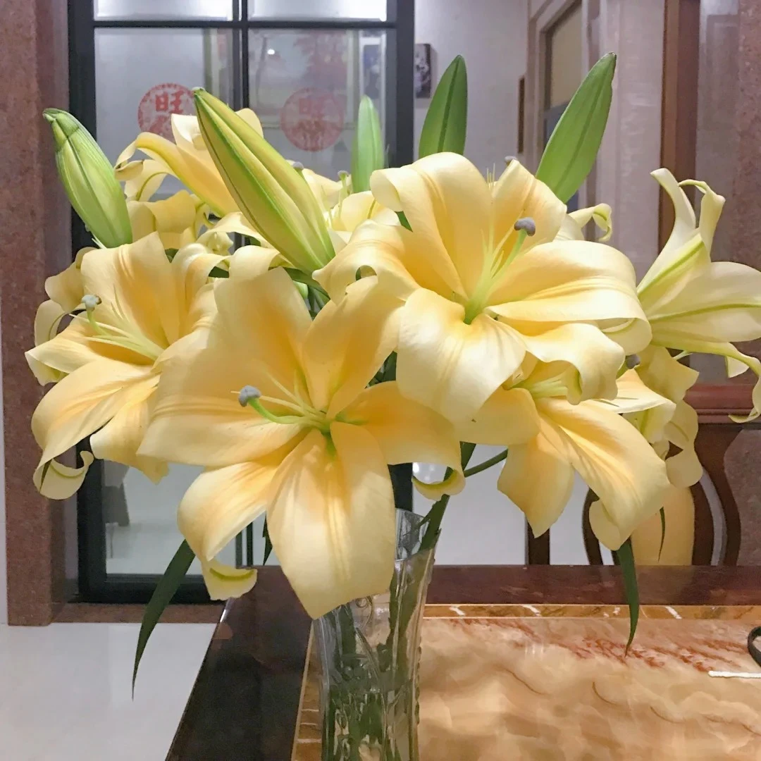 【皇帝】香水百合 一单包邮 云南鲜花昆明基地现采现发